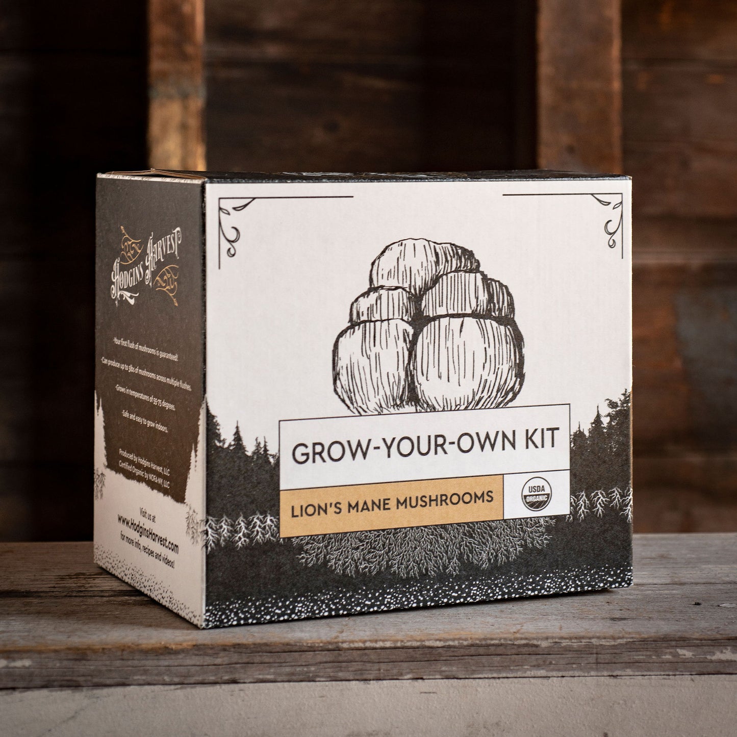 
                  
                    Grow Your Own Kit - Lion's Mane Mushrooms - Hodgins Harvest
                  
                
