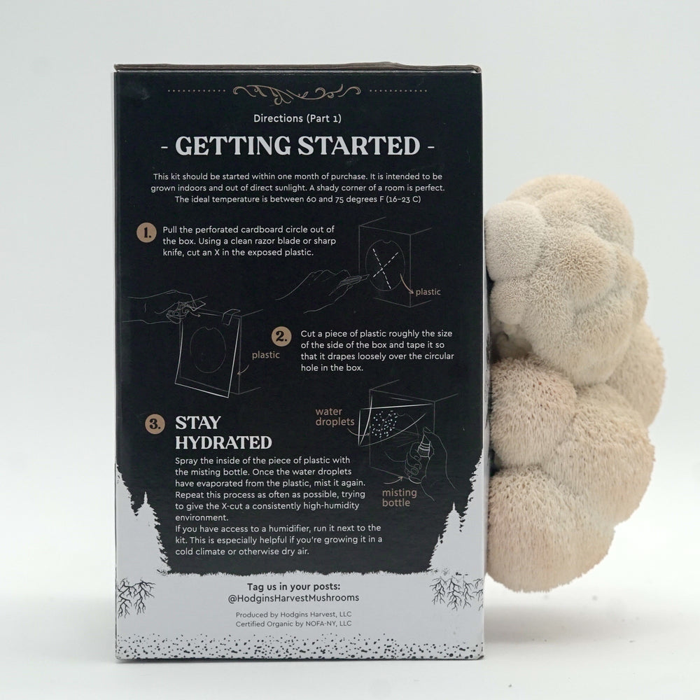 
                  
                    Lion's Mane Mushroom cultivation kit
                  
                
