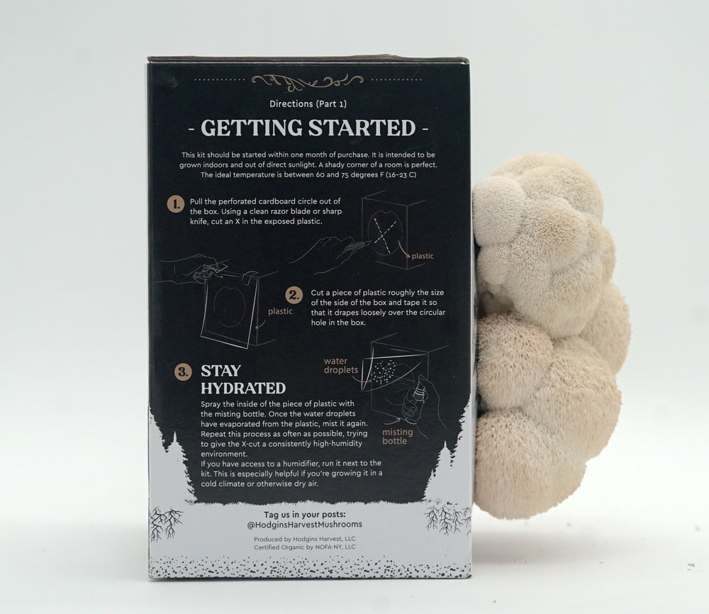 
                  
                    Lion's Mane Mushroom cultivation kit
                  
                