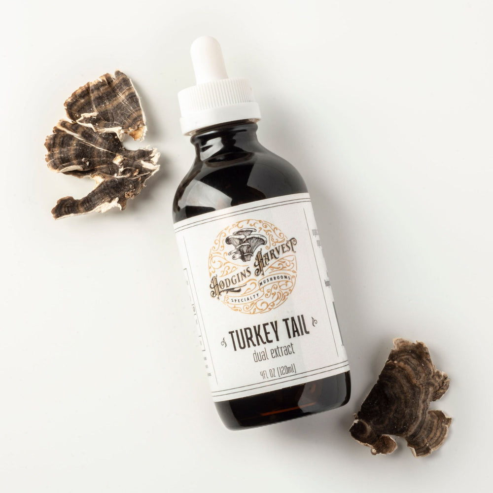 
                  
                    Turkey Tail Dual Extract Tincture
                  
                