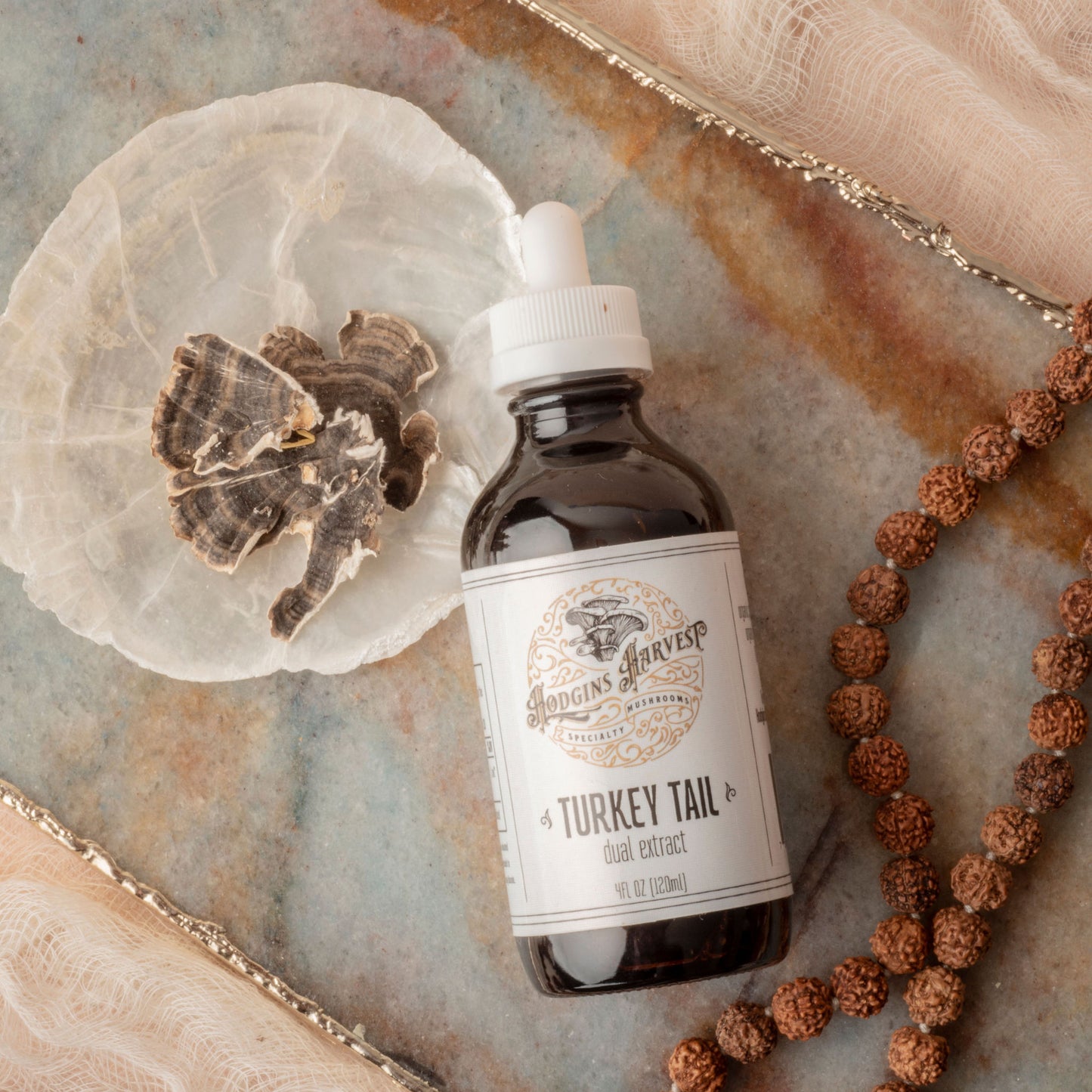
                  
                    Turkey Tail Dual Extract Tincture
                  
                