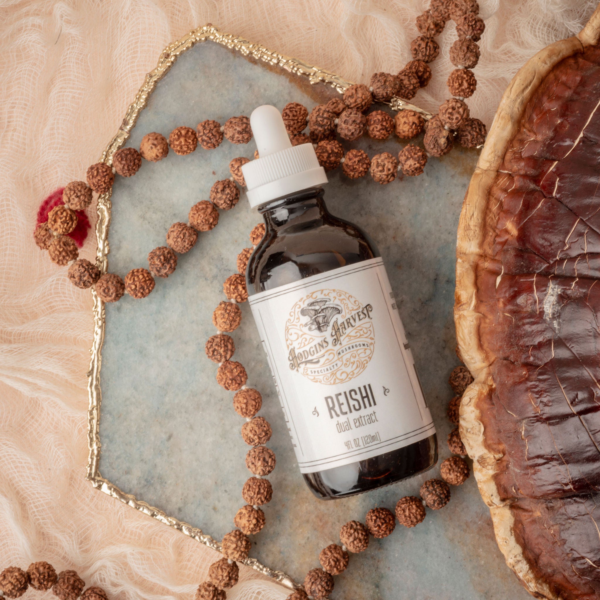 Reishi Dual Extract Tincture – Hodgins Harvest