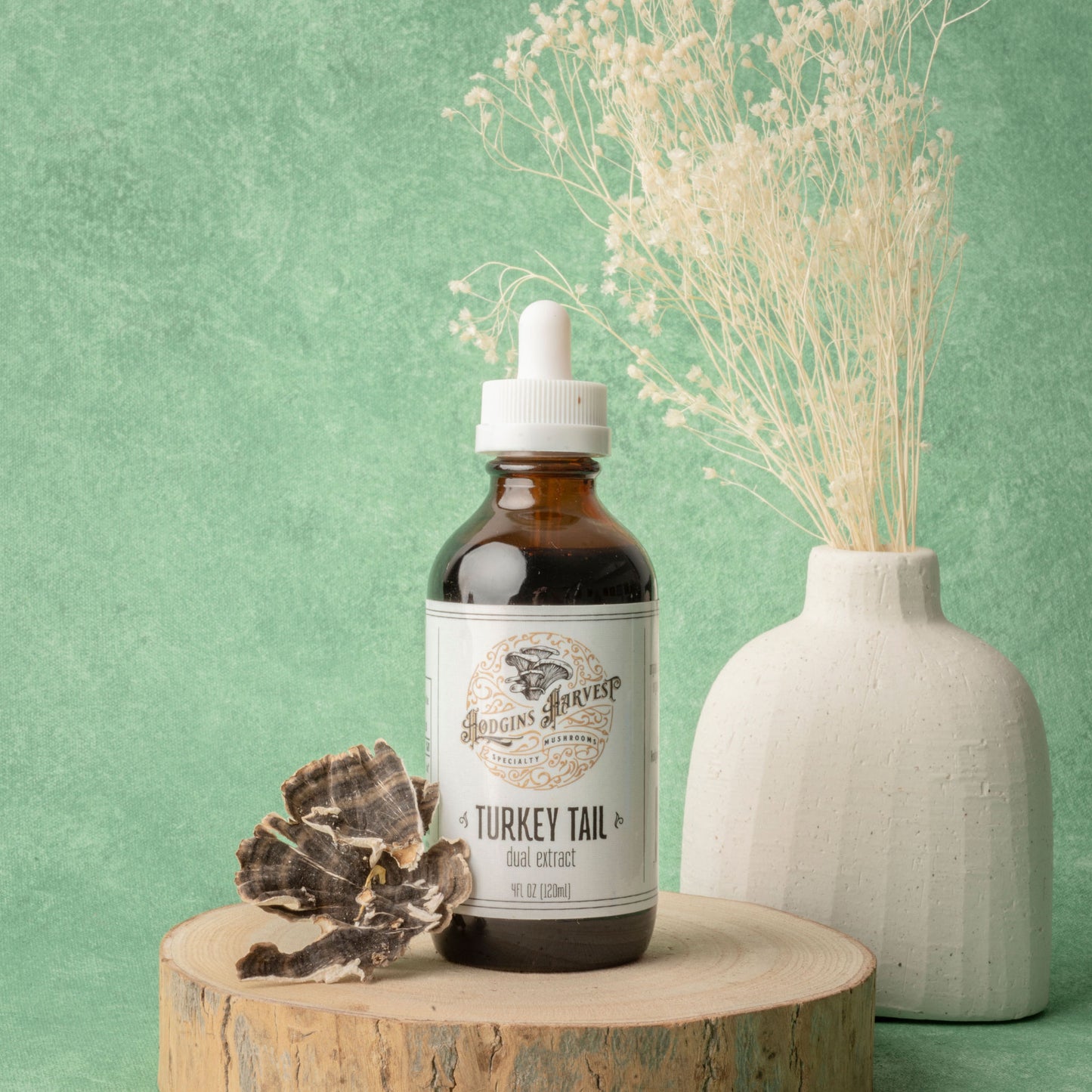 
                  
                    Turkey Tail  Tincture
                  
                