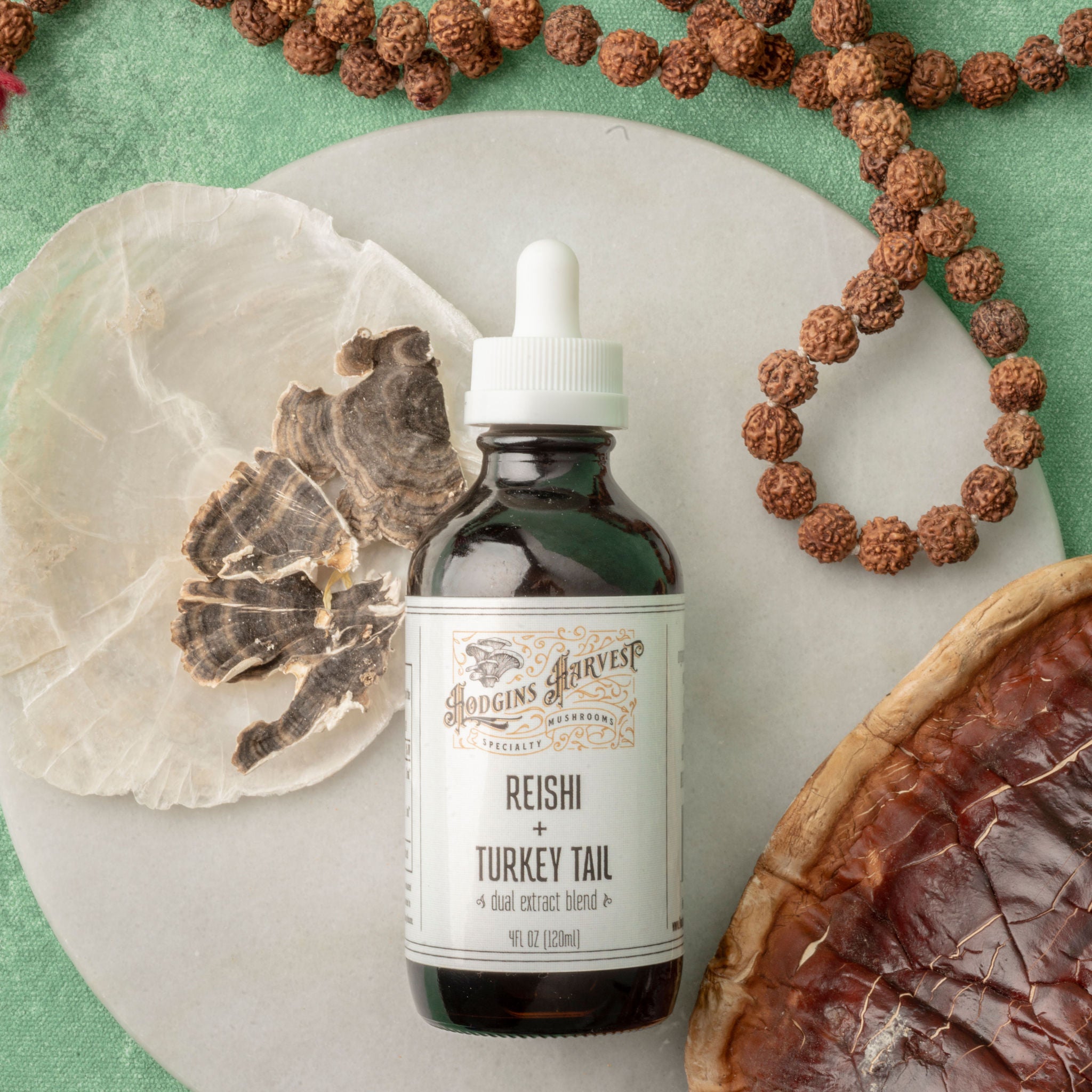 Reishi + Turkey Tail Dual Extract Tincture – Hodgins Harvest