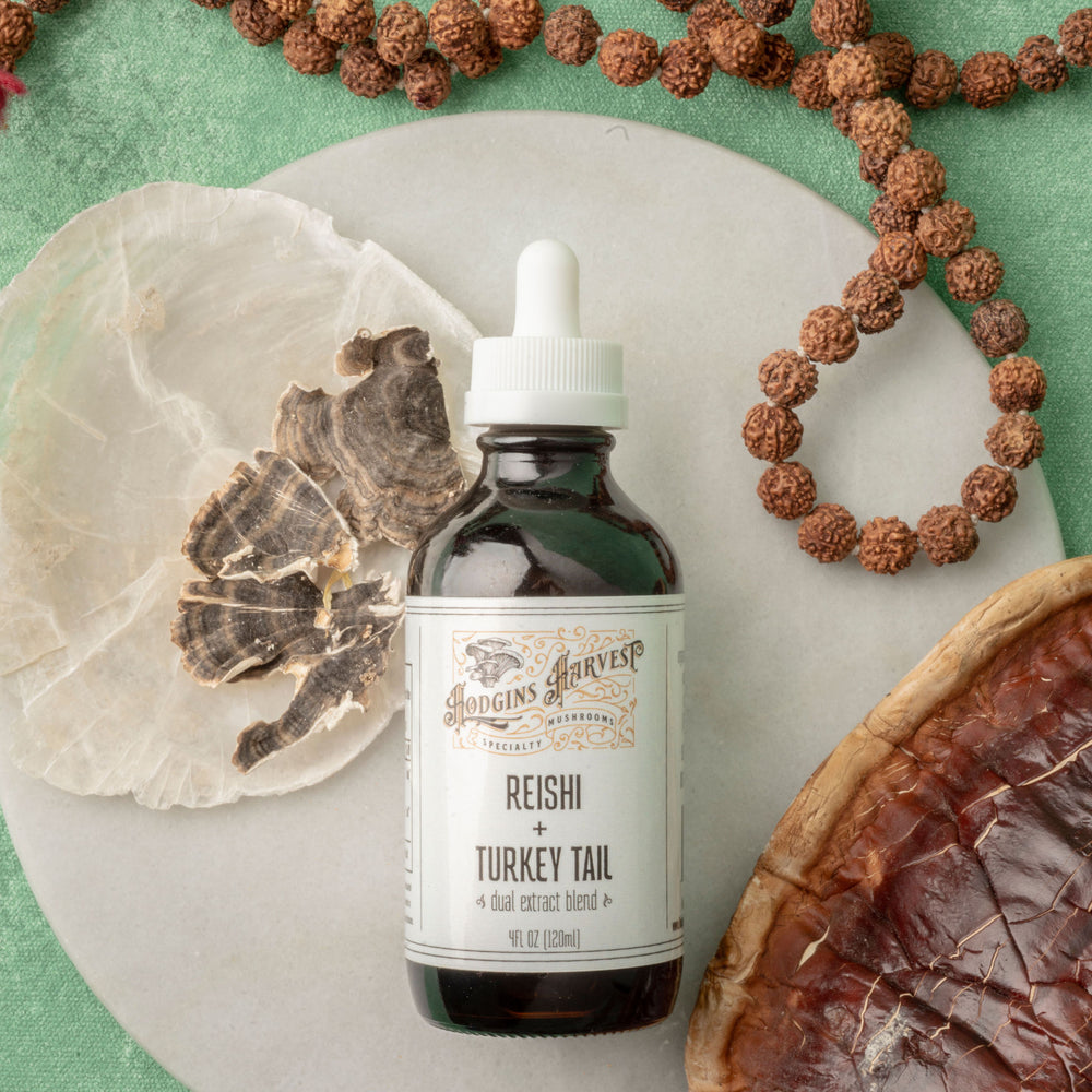 Turkey Tail Dual Extract Tincture