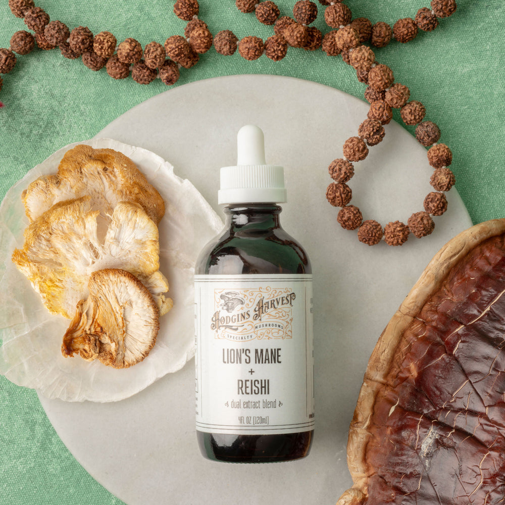 
                  
                    Lion's Mane + Reishi Dual Extract Tincture
                  
                