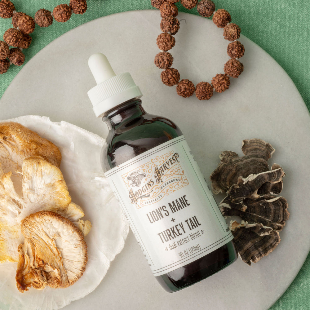 Lion's Mane + Turkey Tail Tincture