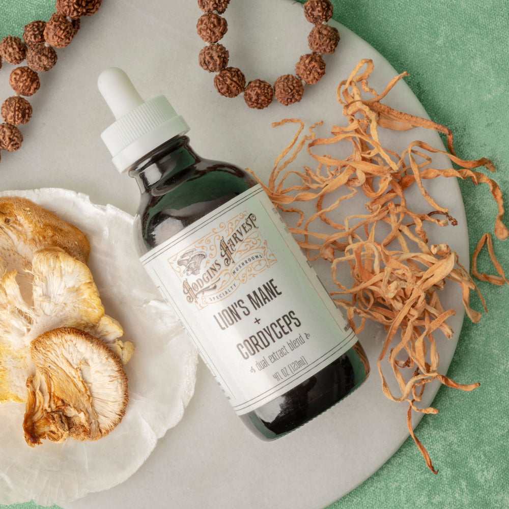  Cordyceps Dual Extract Tincture