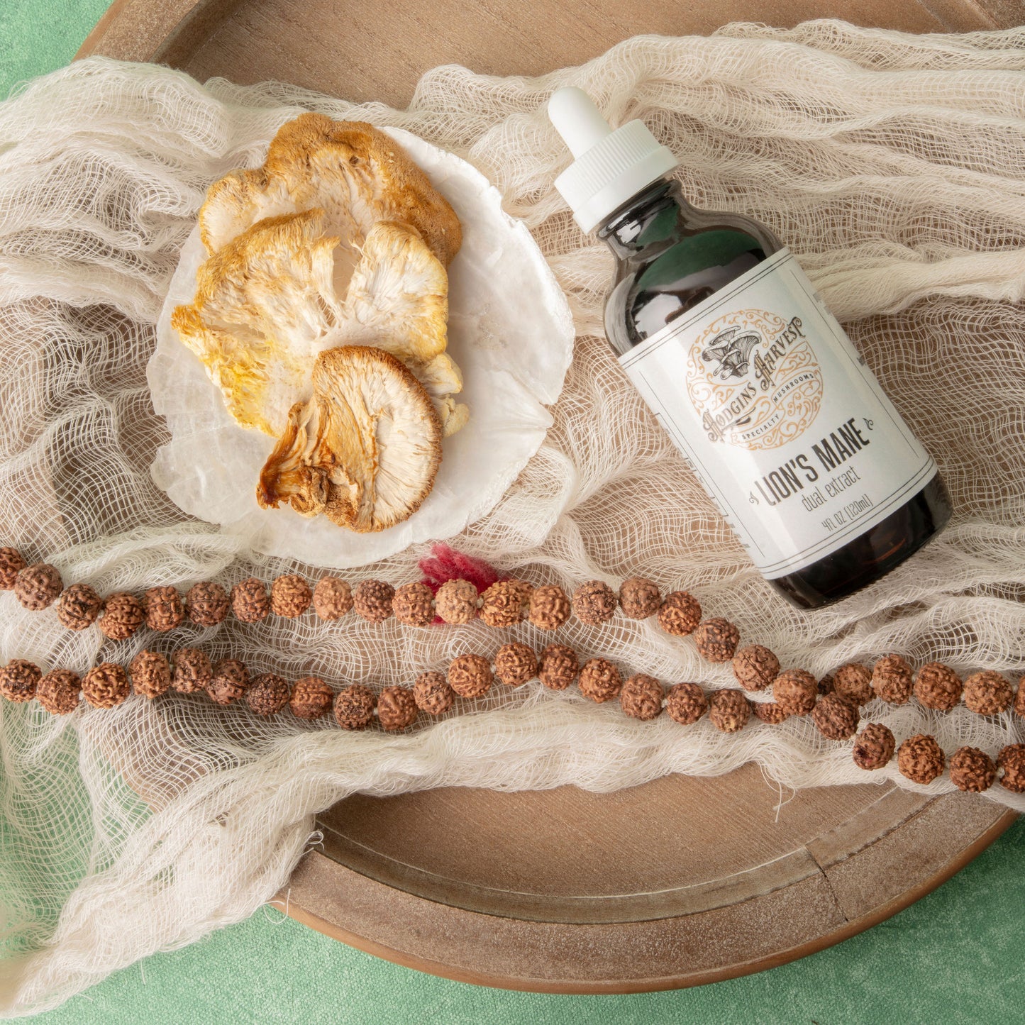 
                  
                    Lion's Mane Tincture
                  
                