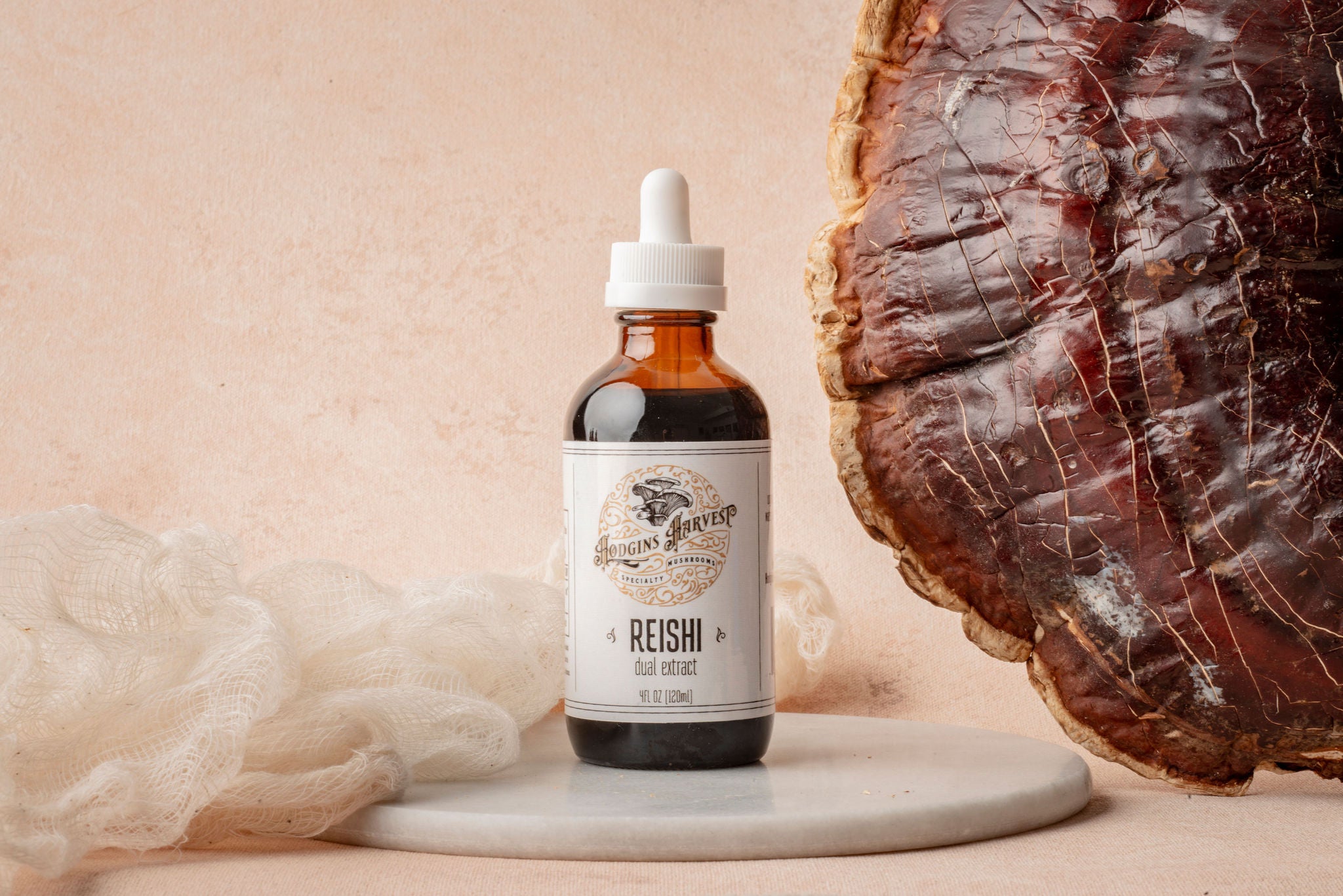 Reishi Dual Extract Tincture – Hodgins Harvest