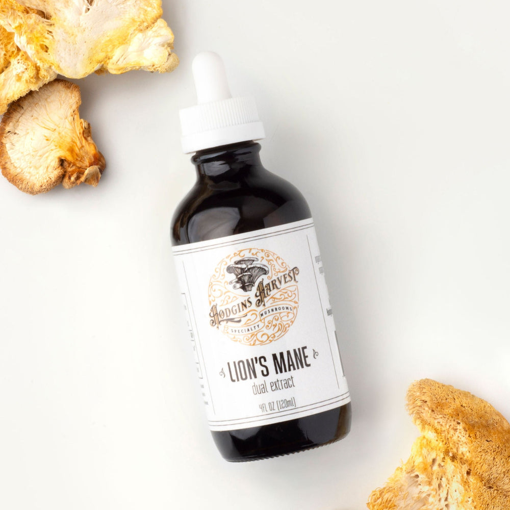 Lion's Mane Dual Extract Tincture
