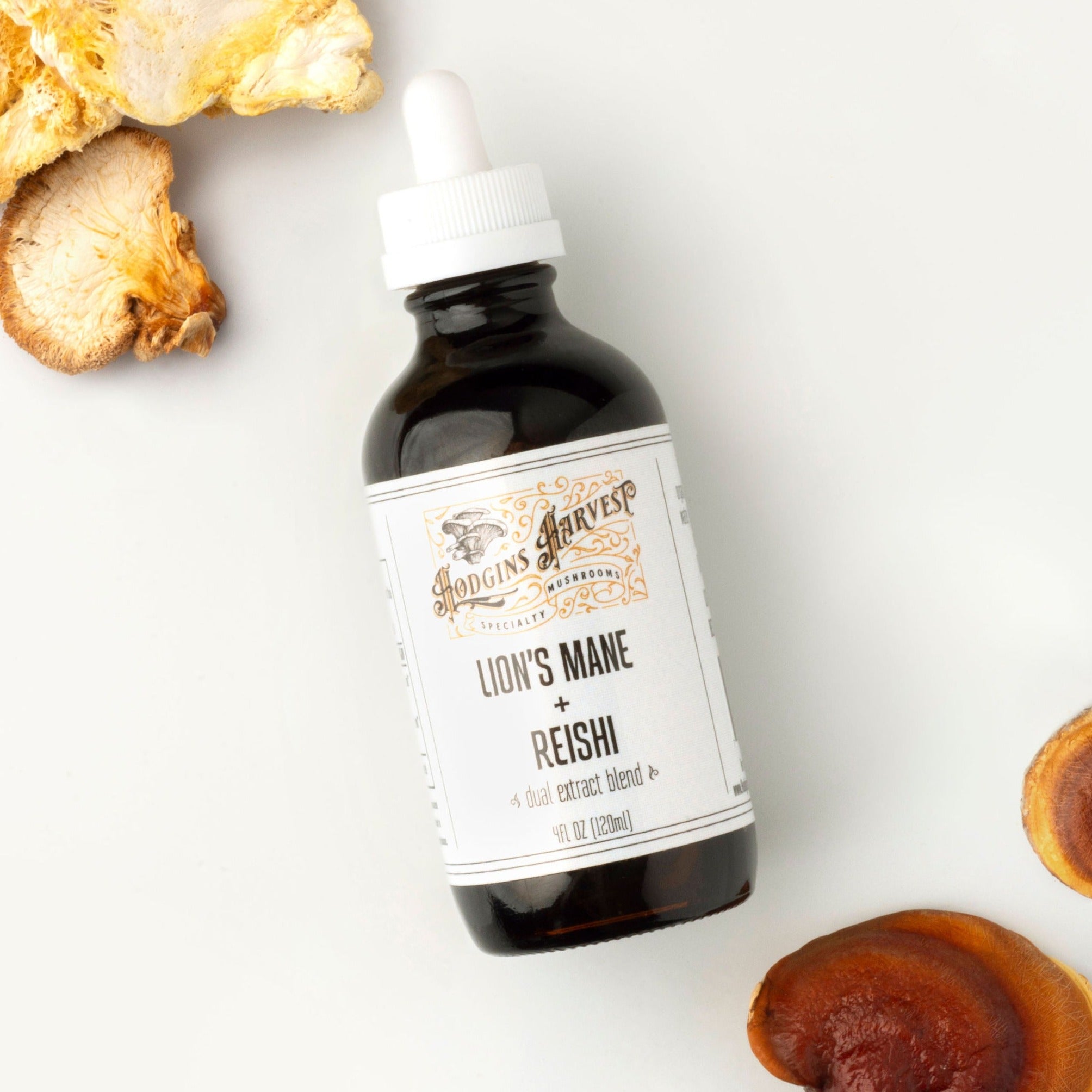 Lion's Mane + Reishi Dual Extract Tincture – Hodgins Harvest