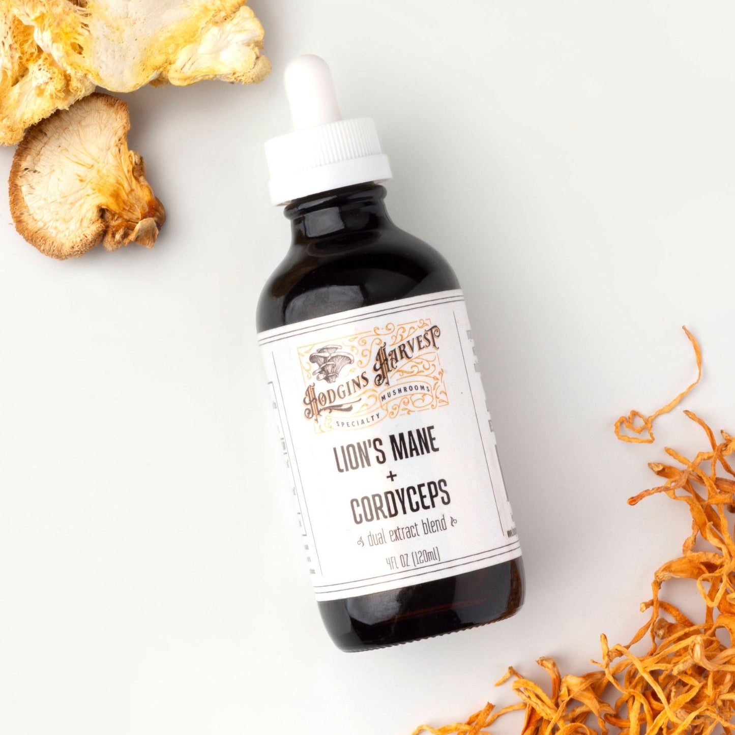 Best Lions Mane Tincture