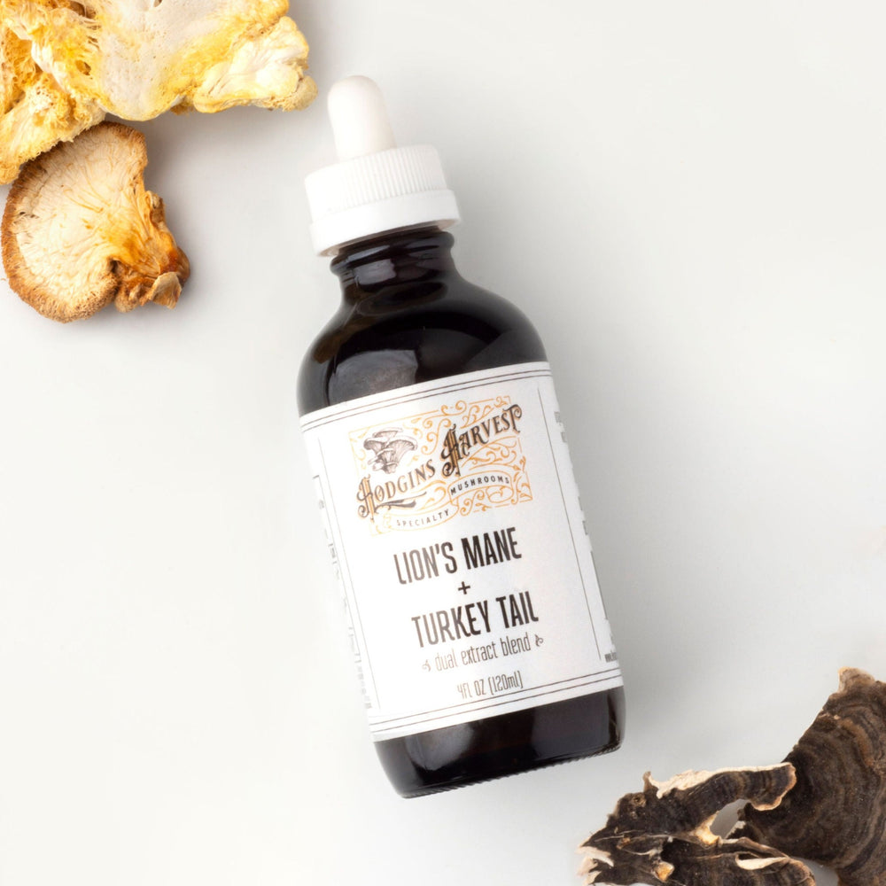 Lion's Mane + Turkey Tail Dual Extract Tincture