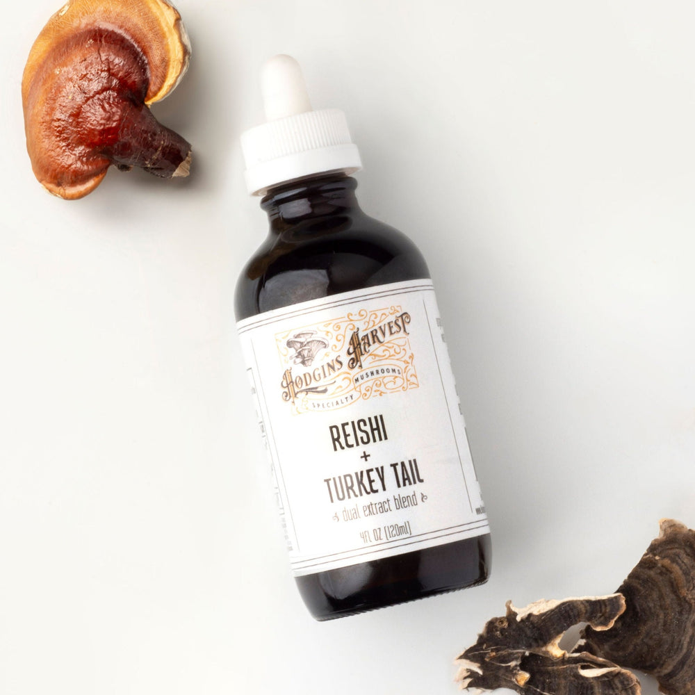 Reishi + Turkey Tail Dual Extract Tincture