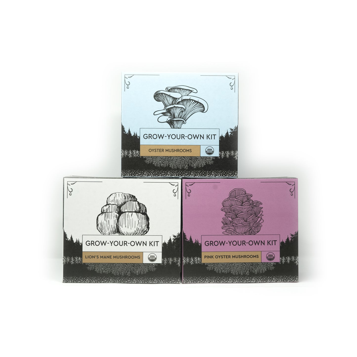 
                  
                    3-Pack of Organic Mushroom Grow Kits - Hodgins Harvest
                  
                