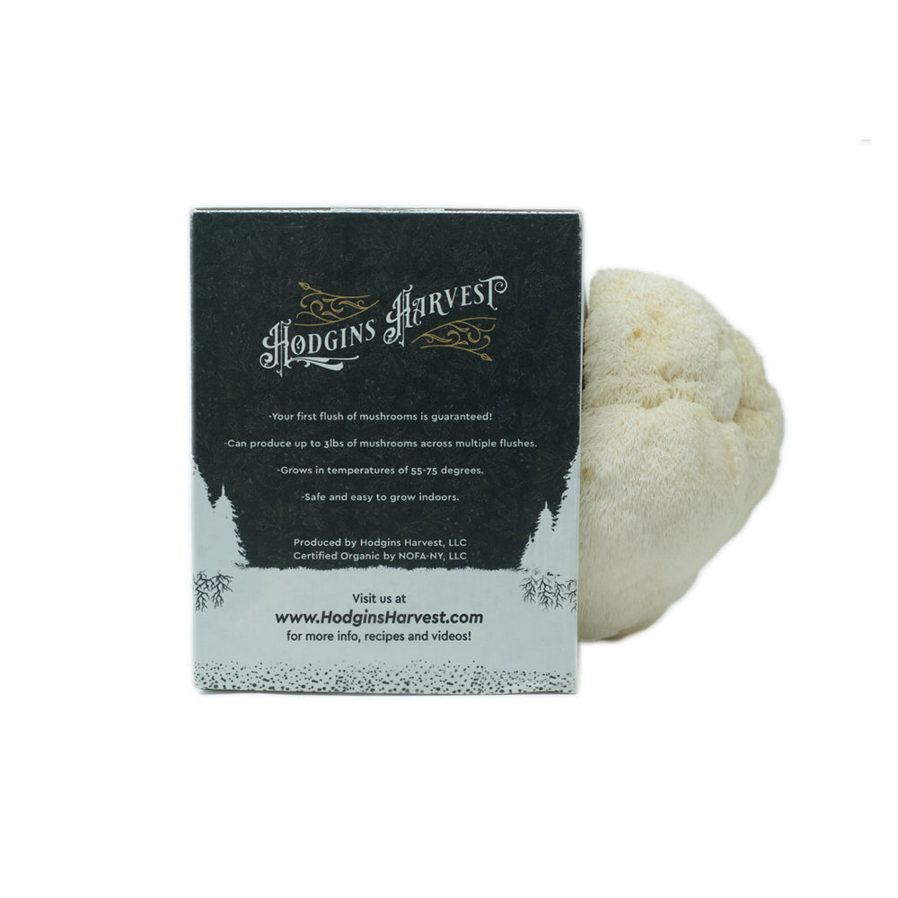 
                  
                    Organic Lion's Mane Mushroom Grow Kit - Hodgins Harvest
                  
                