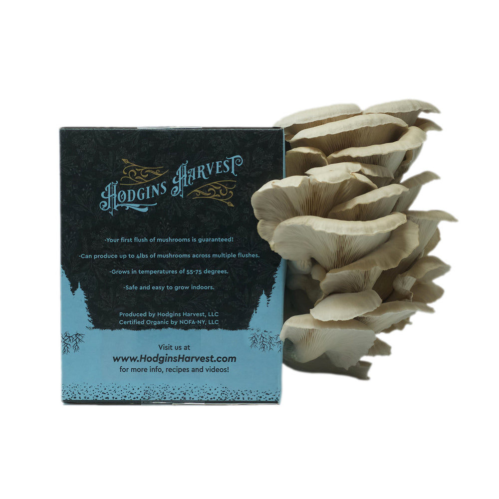 Organic Oyster Mushroom Grow Kit - Hodgins Harvest