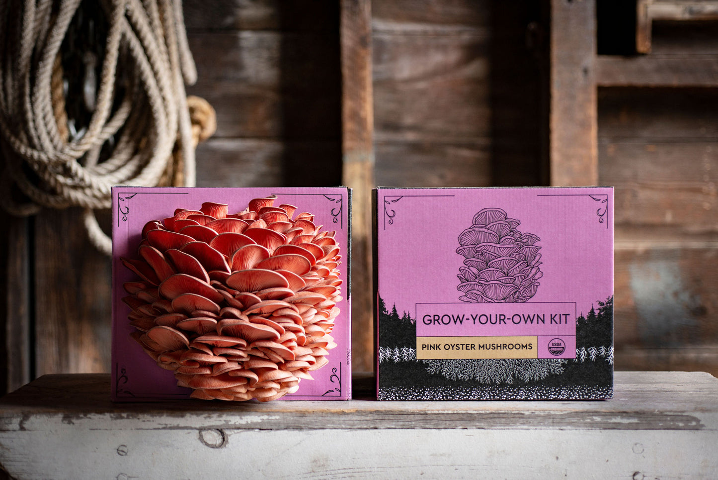 
                  
                    Organic Mushroom Grow Kits - Hodgins Harvest
                  
                